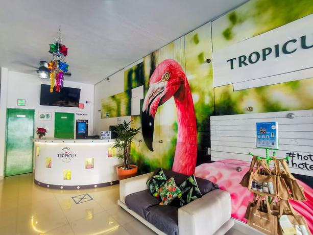 Imagen de los interiores del Hotel Tropicus Boutique. Foto 16