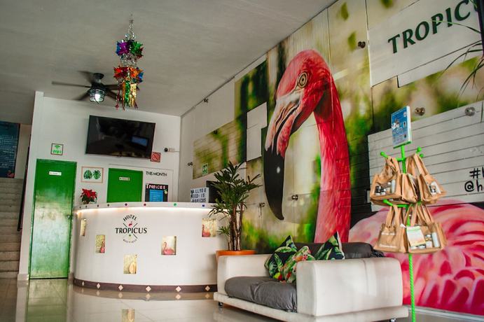 Imagen de los interiores del Hotel Tropicus Boutique. Foto 18
