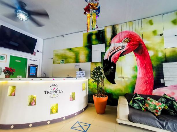Imagen de los interiores del Hotel Tropicus Boutique. Foto 19