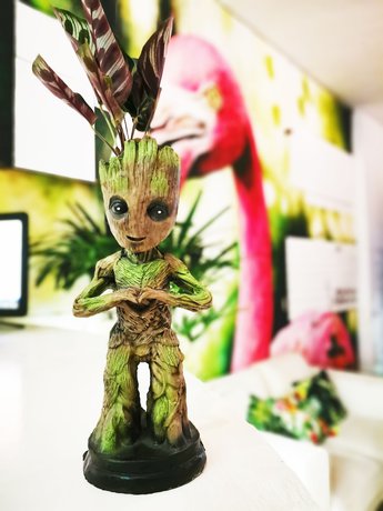Imagen de los interiores del Hotel Tropicus Boutique. Foto 20