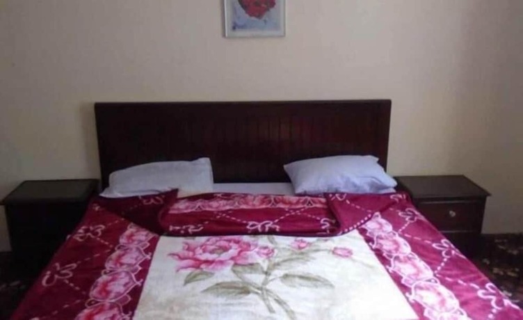 Imagen general del Hotel Troutland Naran. Foto 6