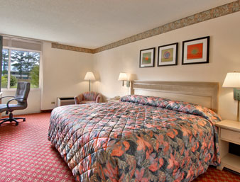 Imagen de la habitación del Hotel Tru By Hilton Wilmington. Foto 4