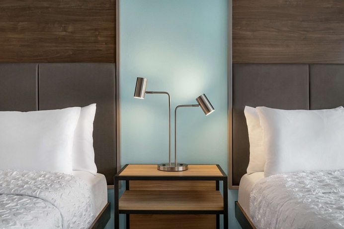 Imagen de la habitación del Hotel Tru by Hilton Greenville Woodruff Road. Foto 10