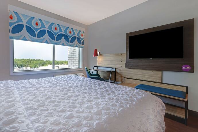 Imagen de la habitación del Hotel Tru by Hilton Lithia Springs, GA. Foto 18