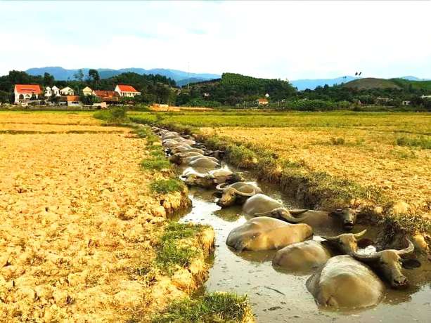 Imagen general del Hotel Trung Duc. Foto 5