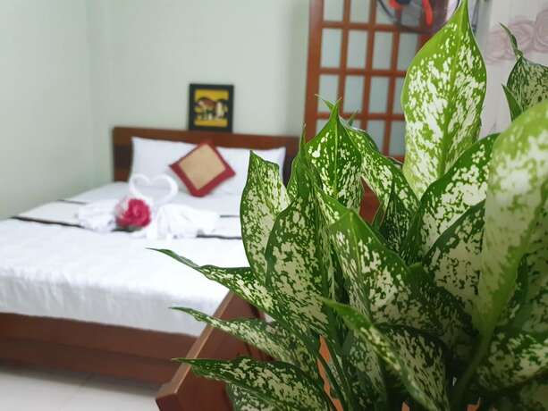 Imagen general del Hotel Truong Son Hotel. Foto 7