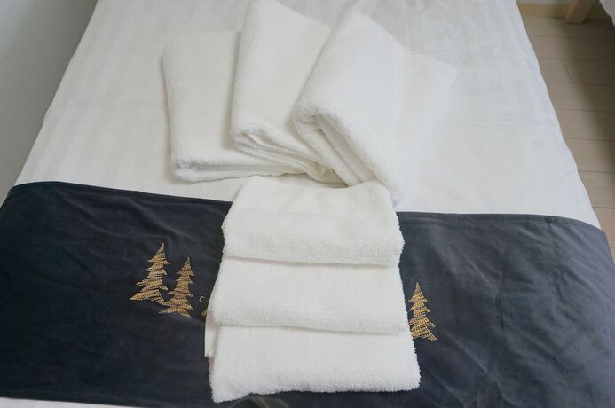 Imagen general del Hotel Trusty Residence Tennoji East. Foto 11
