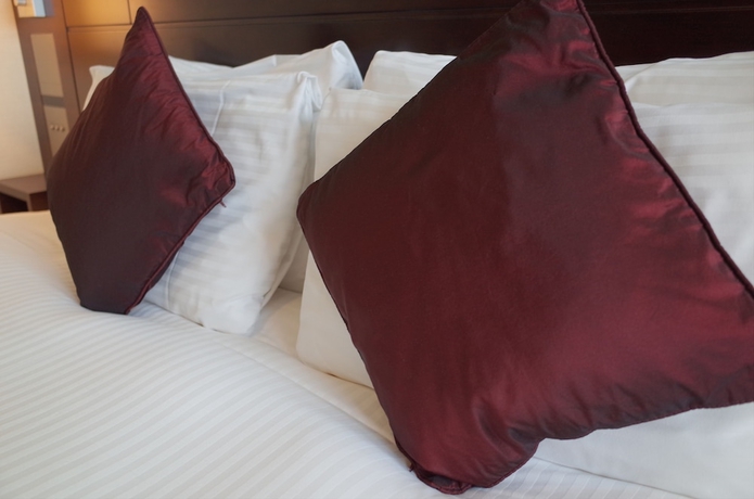 Imagen de la habitación del Hotel Trusty Tokyo Bayside. Foto 3