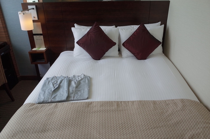 Imagen de la habitación del Hotel Trusty Tokyo Bayside. Foto 4