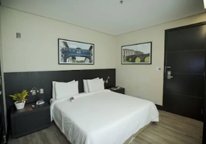 Imagen de la habitación del Hotel Tryp Belo Horizonte Savassi. Foto 5