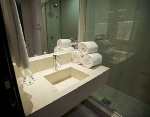 Imagen de la habitación del Hotel Tryp Belo Horizonte Savassi. Foto 14