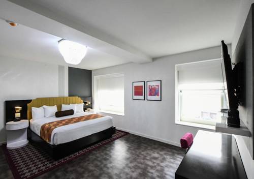 Imagen de la habitación del Hotel Tryp By Wyndham Newark Downtown. Foto 6