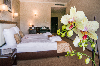 Imagen general del Hotel Trzebnica. Foto 10