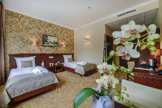 Imagen de la habitación del Hotel Trzebnica. Foto 18