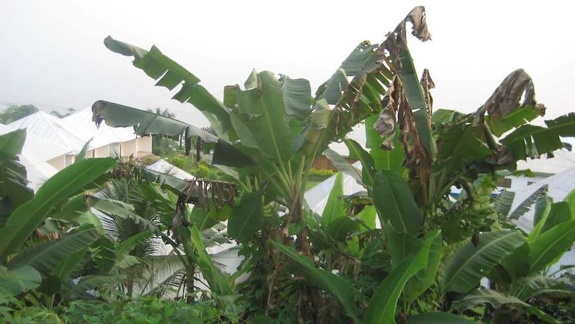 Imagen de los exteriores del Hotel Tsaben Beach. Foto 18