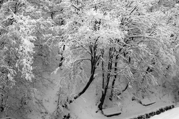 Imagen general del Hotel Tsaghkahovit. Foto 13