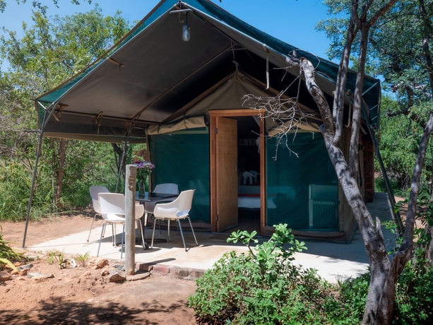 Imagen de la habitación del Hotel Tshukudu Game Lodge. Foto 4