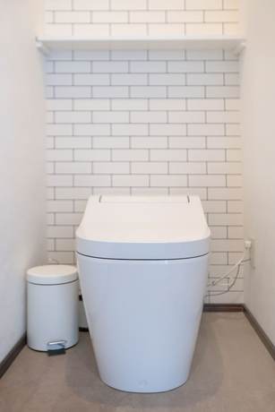 Imagen de la habitación del Hotel Tsubame Asakusabashi. Foto 18