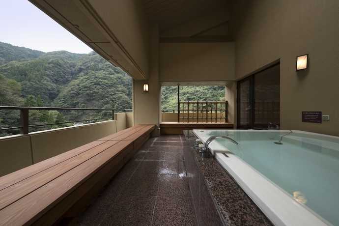 Imagen de la habitación del Hotel Tsuetate Onsen Hizenya. Foto 13