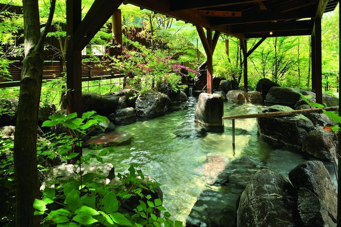 Imagen de la piscina del Hotel Tsuetate Onsen Hizenya. Foto 18