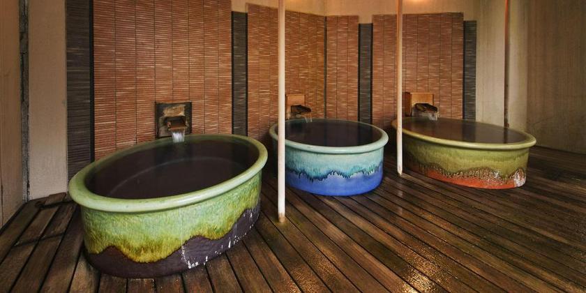 Imagen general del Hotel Tsujinoya Hananosho. Foto 5