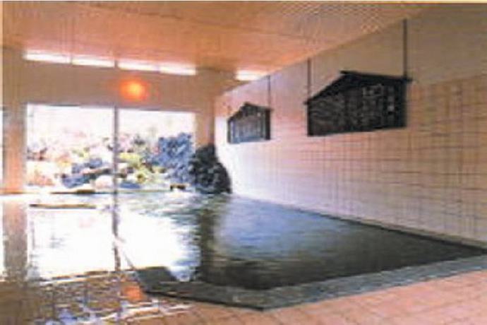 Imagen de la piscina del Hotel Tsukioka New Hotel Kangetsu (Furinya). Foto 13