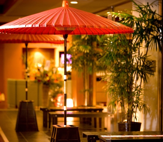 Imagen de los interiores del Hotel Tsurugi Koizuki. Foto 18