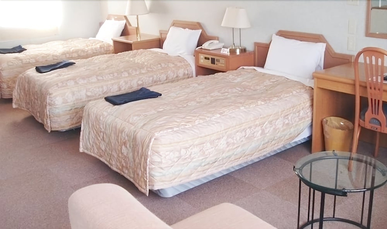 Imagen de la habitación del Hotel Tsurugi Koizuki. Foto 9