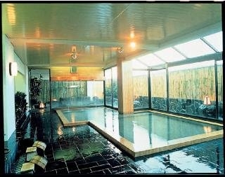 Imagen de la piscina del Hotel Tsuruya Kisshotei. Foto 10