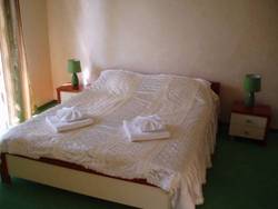Imagen general del Hotel Tsvit Paporoti. Foto 16