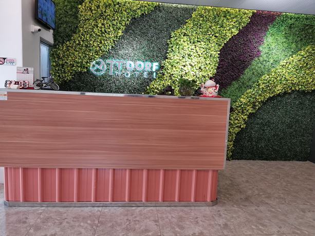 Imagen de los interiores del Hotel Tt Dorf. Foto 12