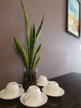 Imagen de la habitación del Hotel Tt Suites Kota Kinabalu City Centre. Foto 6
