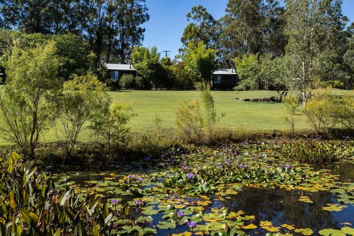 Imagen general del Hotel Tuckeroo Cottages and Gardens. Foto 4