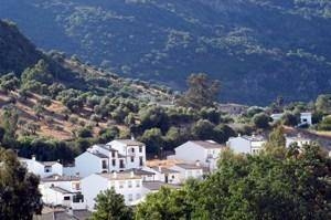 Imagen general del Hotel Tugasa Las Truchas. Foto 13