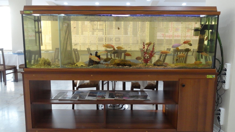 Imagen de los interiores del Hotel Tugra. Foto 10