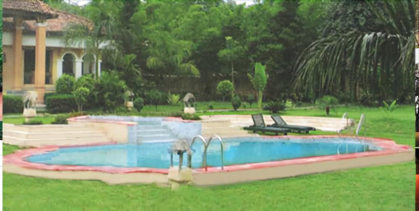 Imagen de la piscina del Hotel Tuli Tiger Resort. Foto 16