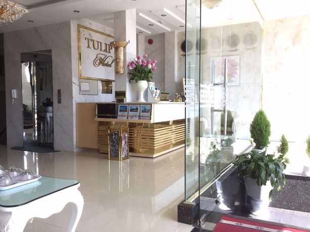 Imagen de los interiores del Hotel Tulip 2. Foto 13