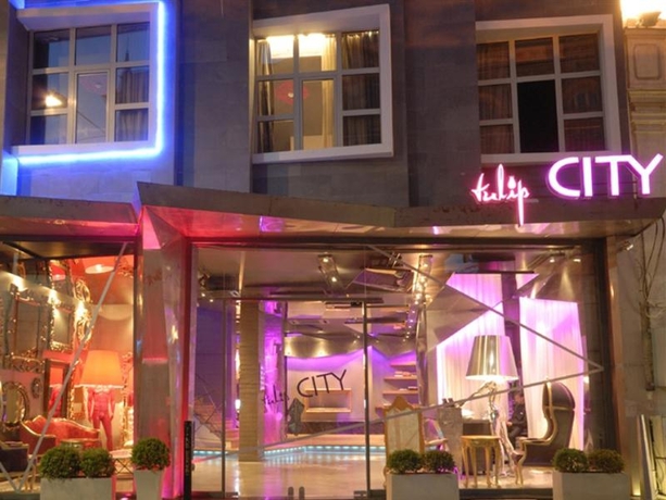 Imagen general del Hotel Tulip City. Foto 2