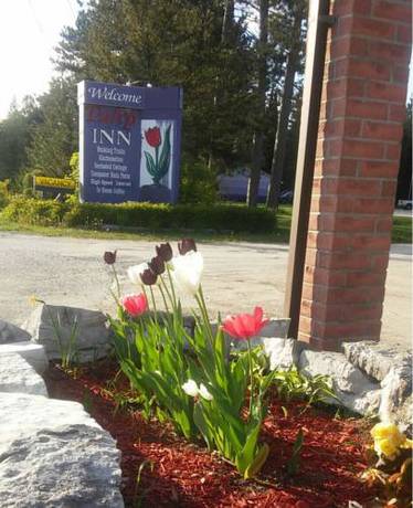 Imagen general del Hotel Tulip Inn, Huntsville. Foto 1