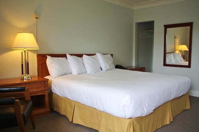 Imagen de la habitación del Hotel Tulip Motel. Foto 8