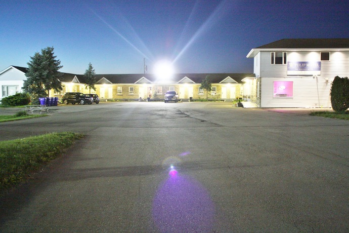 Imagen general del Hotel Tulip Motel. Foto 2