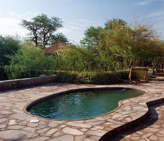 Imagen de la piscina del Hotel Tulor. Foto 16