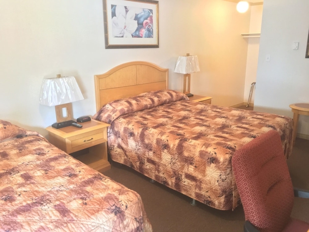 Imagen de la habitación del Hotel Tumbler Ridge Inn. Foto 10