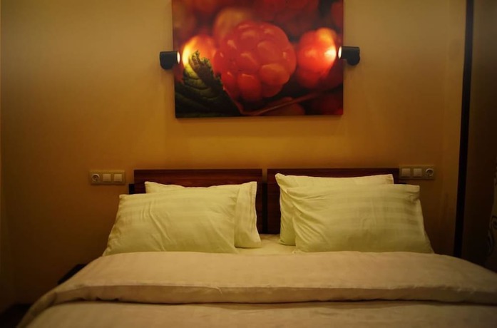 Imagen de la habitación del Hotel Tundra. Foto 7