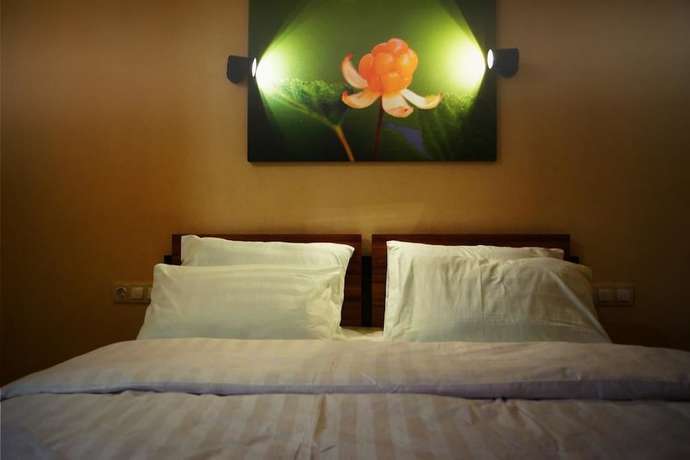 Imagen de la habitación del Hotel Tundra. Foto 9