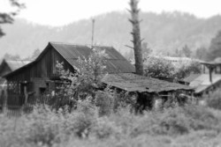 Imagen general del Hotel Turbaza Chechek. Foto 3