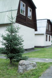 Imagen general del Hotel Turbaza Chechek. Foto 4