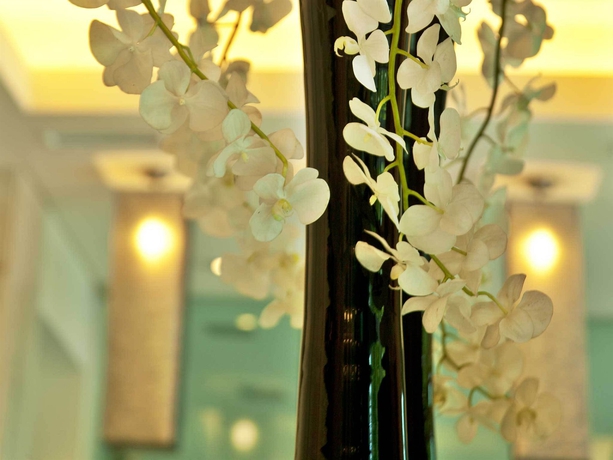 Imagen de los interiores del Hotel Turim Alameda. Foto 14