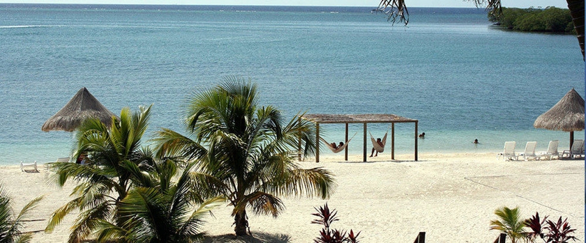 Imagen de los exteriores del Hotel Turquoise Bay Dive and Beach Resort. Foto 7