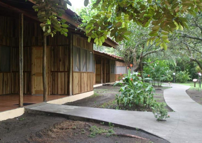 Imagen de la habitación del Hotel Turtle Beach Lodge. Foto 9